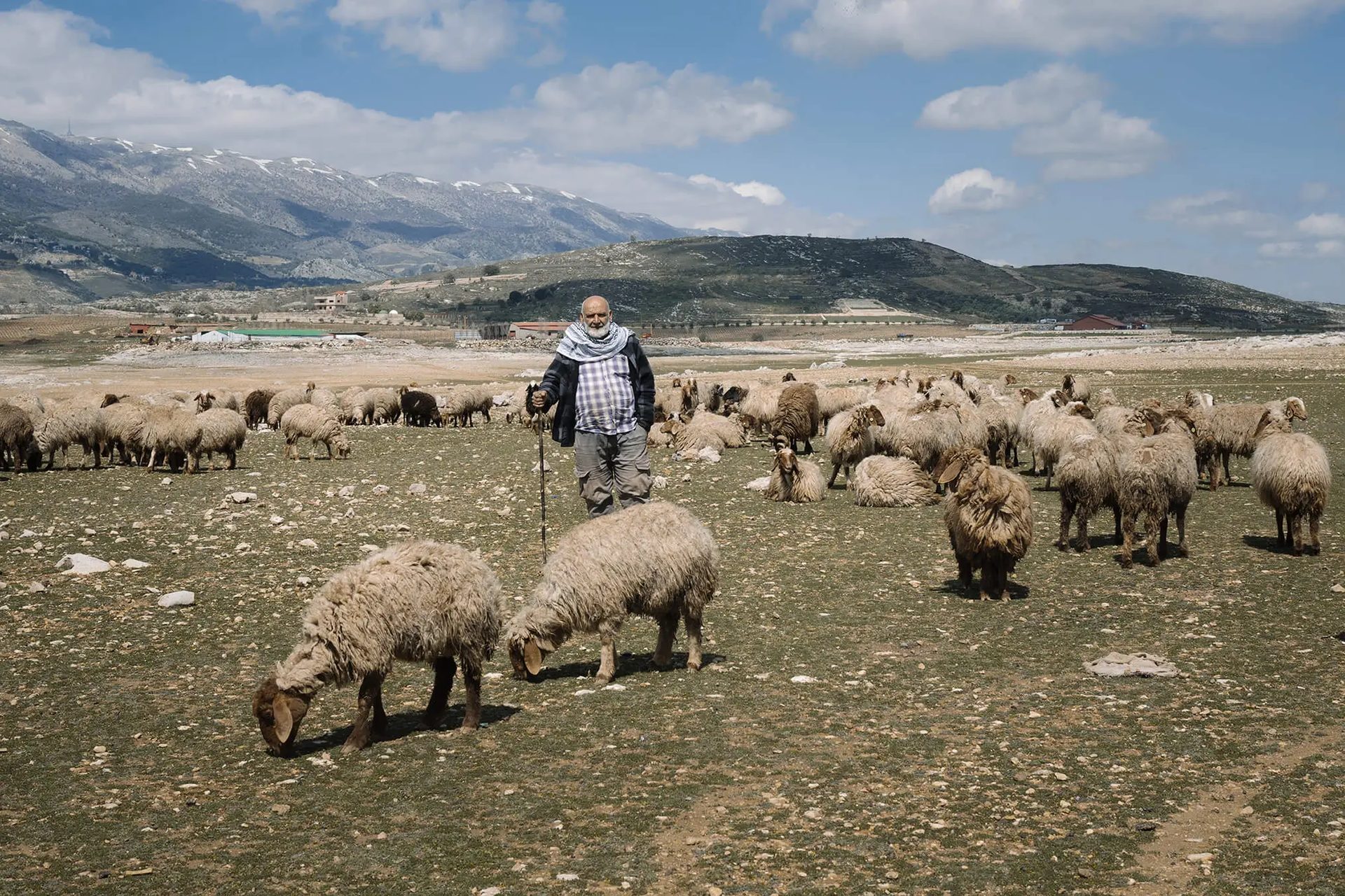 Sky, Cloud, Mountain, Sheep, Herder, Shepherd