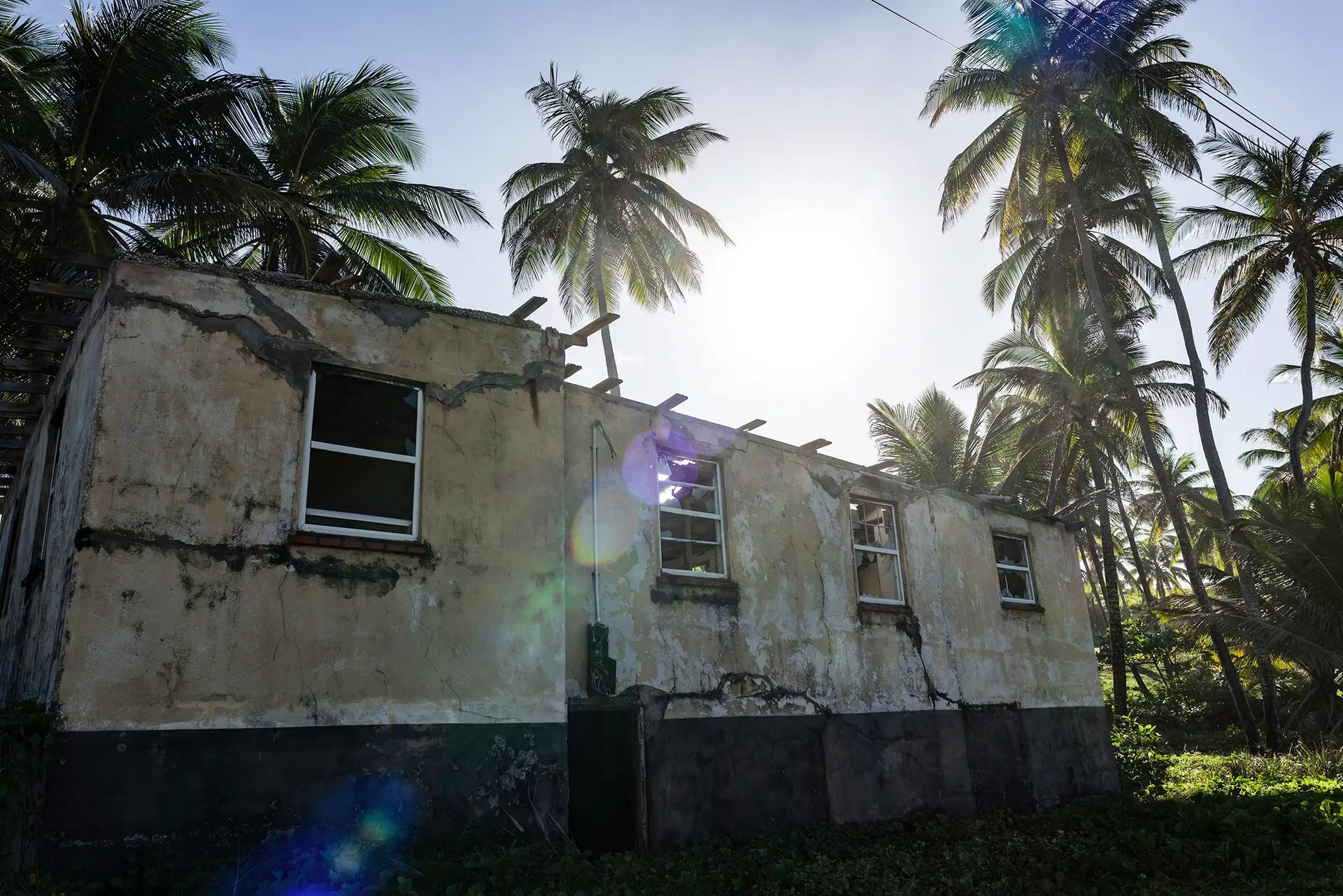 Sky, Building, Plant, Window, Tree, House, Cloud, Arecales